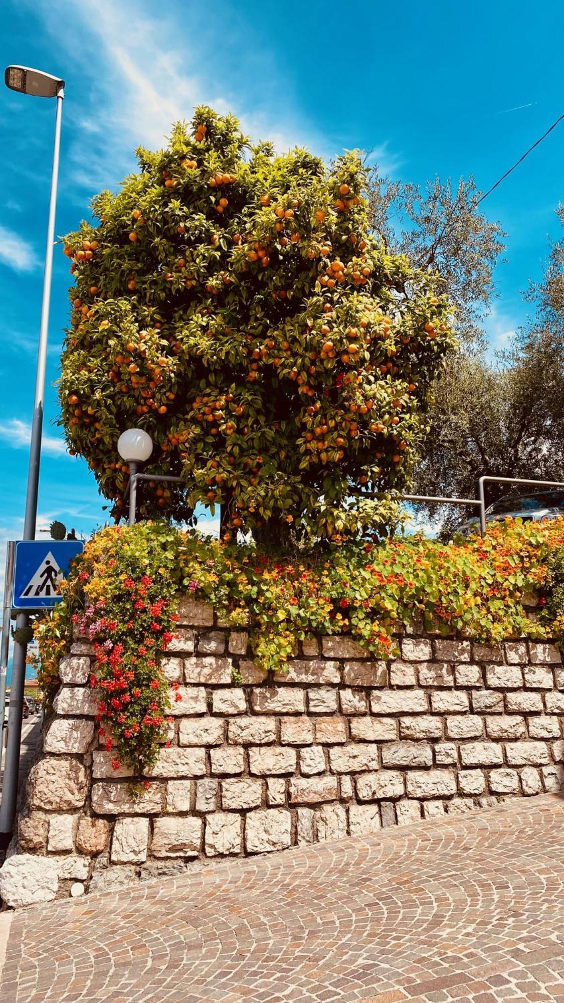 Hotel Ideal Malcesine Exterior foto